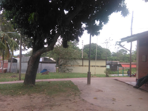 Instituto de Investigaciones de La Amazonia Peruana (IIAP San Martín)