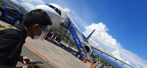 Aeropuerto Guillermo del Castillo Paredes