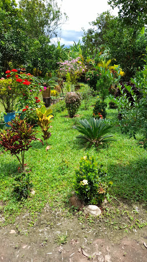 Vivero Sikas Garden