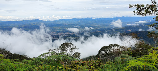 MIRADOR ALTO SHILCAYO