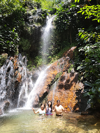 TOURS RECUERDOS TARAPOTO