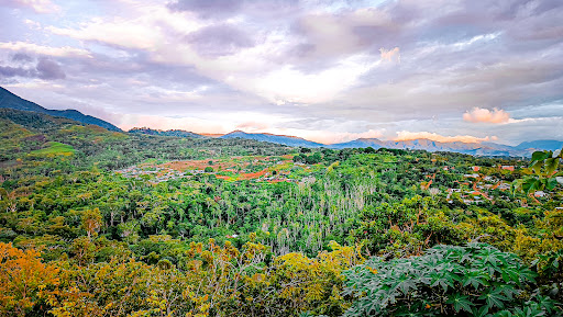 EMAPA San Martín