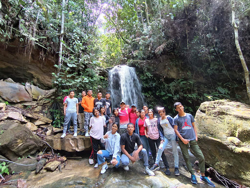 Biodiversidad San Martín