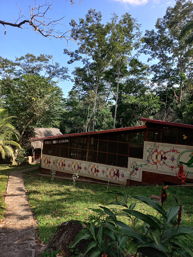 Museo de Ayahuasca / Tarapoto