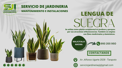 SERVICIO DE JARDINERIA Y MANTENIMIENTO E INSTALACIONES