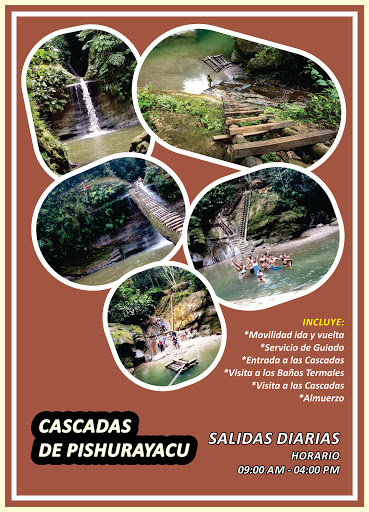 TARAPOTO TAXI TOURS (Viajes y Turismo)