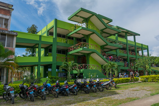 Facultad de Ingenieria de Sistemas e Informatica