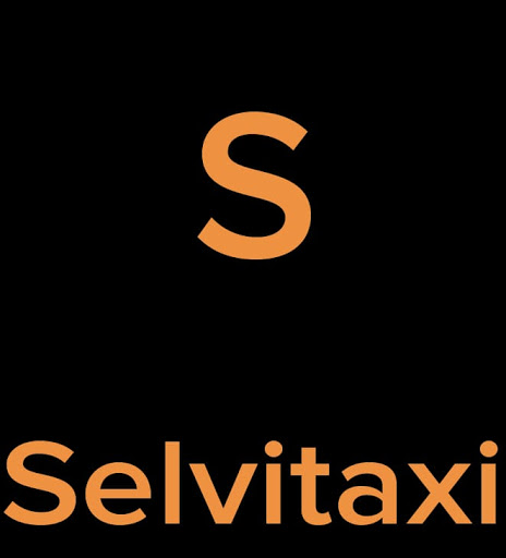 Selvitaxi