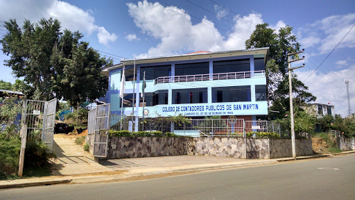 Colegio de Contadores Públicos de San Martín