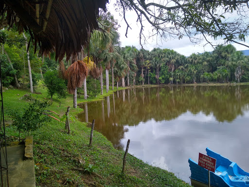 Centro Recreacional Laguna Venecia