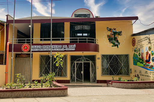 COLEGIO DE INGENIEROS DEL PERÚ Consejo Departamental San Martín - Tarapoto